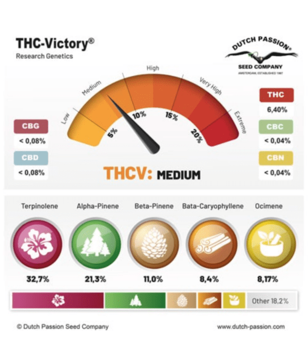 THC-Victory_werte_dutch passion