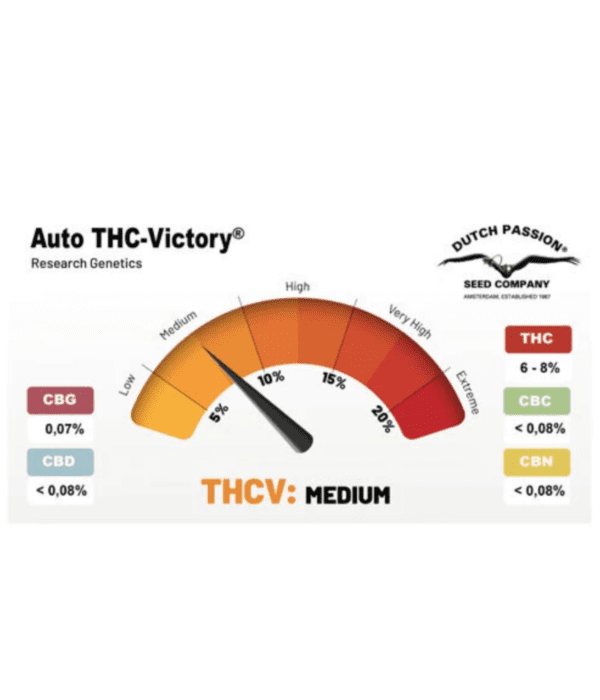 auto-thc-victory_werte_dutchpassion