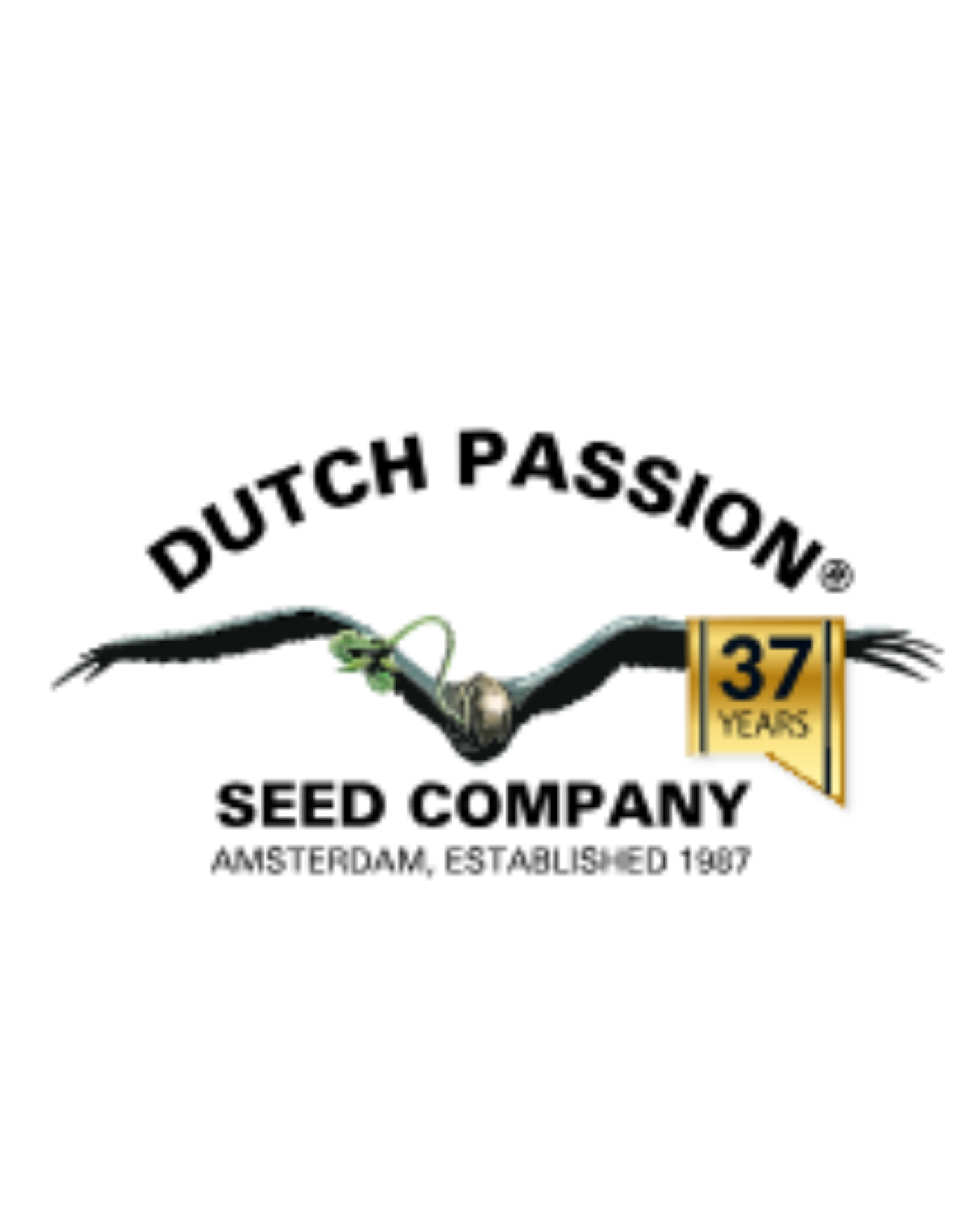 Dutch Passion