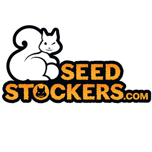 Das Logo von Seedstockers, Ein zwinkerndes Eichhörnchen